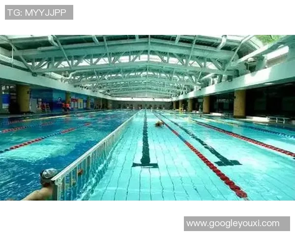 蛙泳动作分解与技巧掌握全面指南助你轻松提高游泳水平