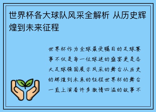世界杯各大球队风采全解析 从历史辉煌到未来征程