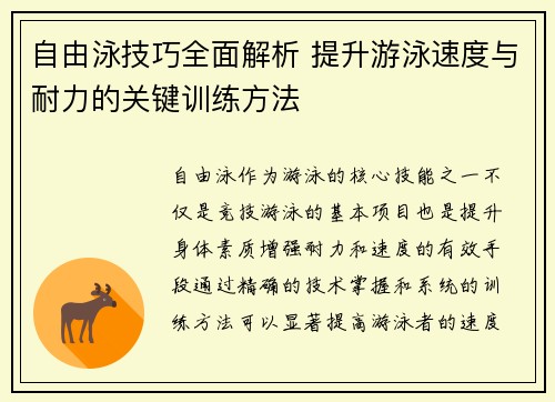 自由泳技巧全面解析 提升游泳速度与耐力的关键训练方法